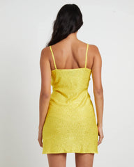 Sofia Sequin Mini Dress