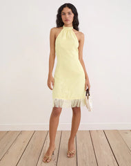Brisea Mini Dress in Lemon with Vintage Bloom Embroidery